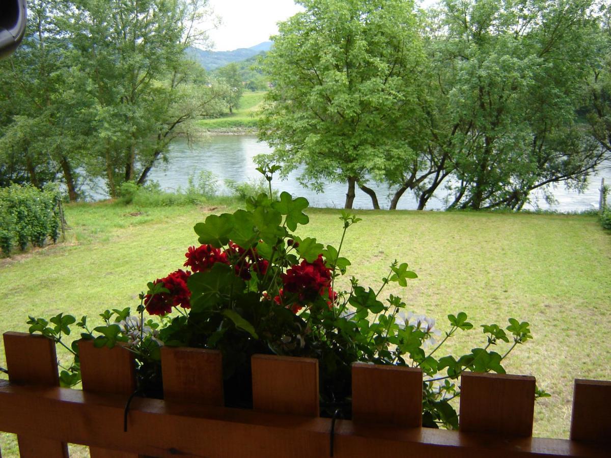 Drinska Tisina Villa Ljubovija ภายนอก รูปภาพ