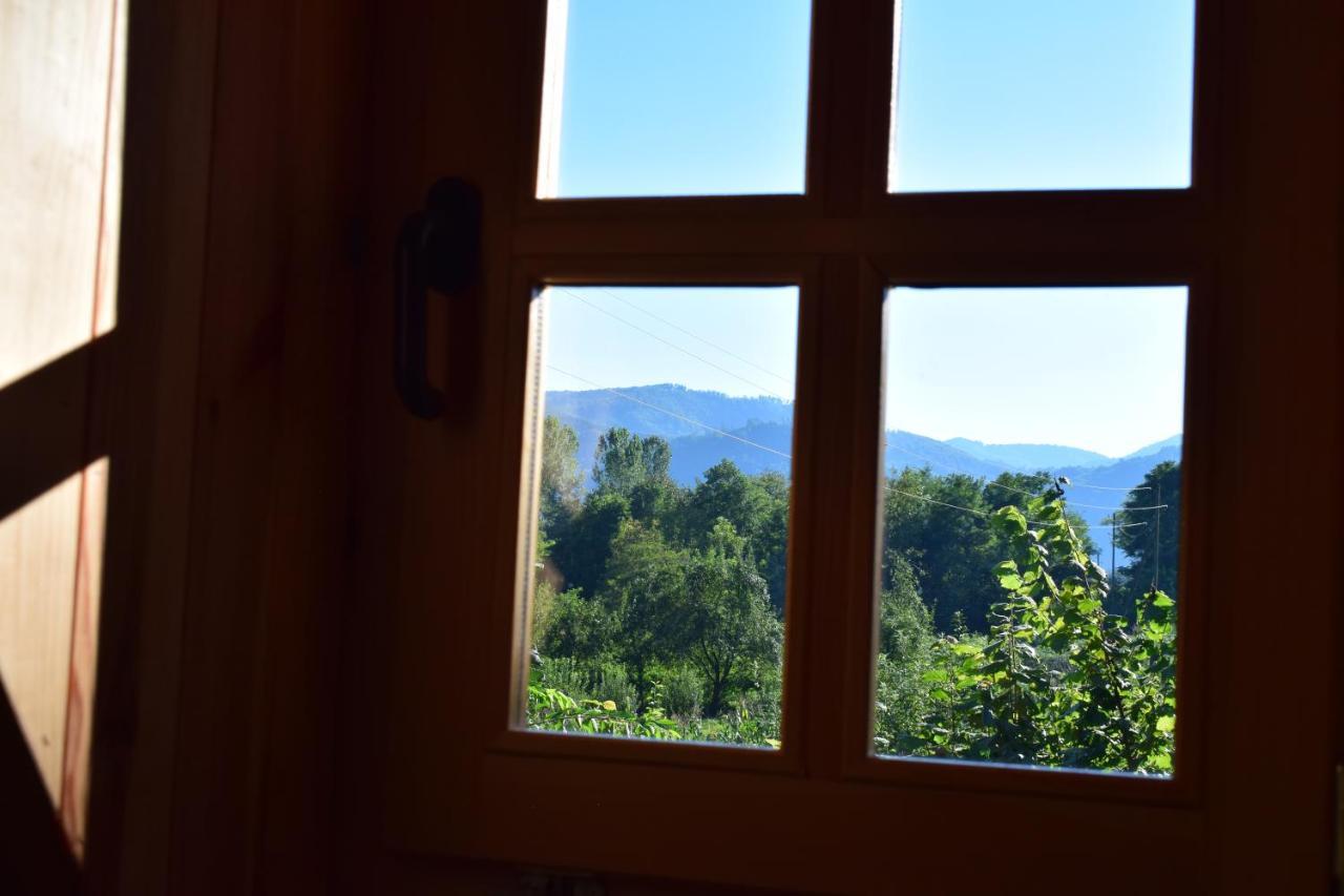 Drinska Tisina Villa Ljubovija ภายนอก รูปภาพ